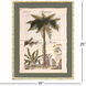 Palm Study II Green and Beige and Brown Framed Art