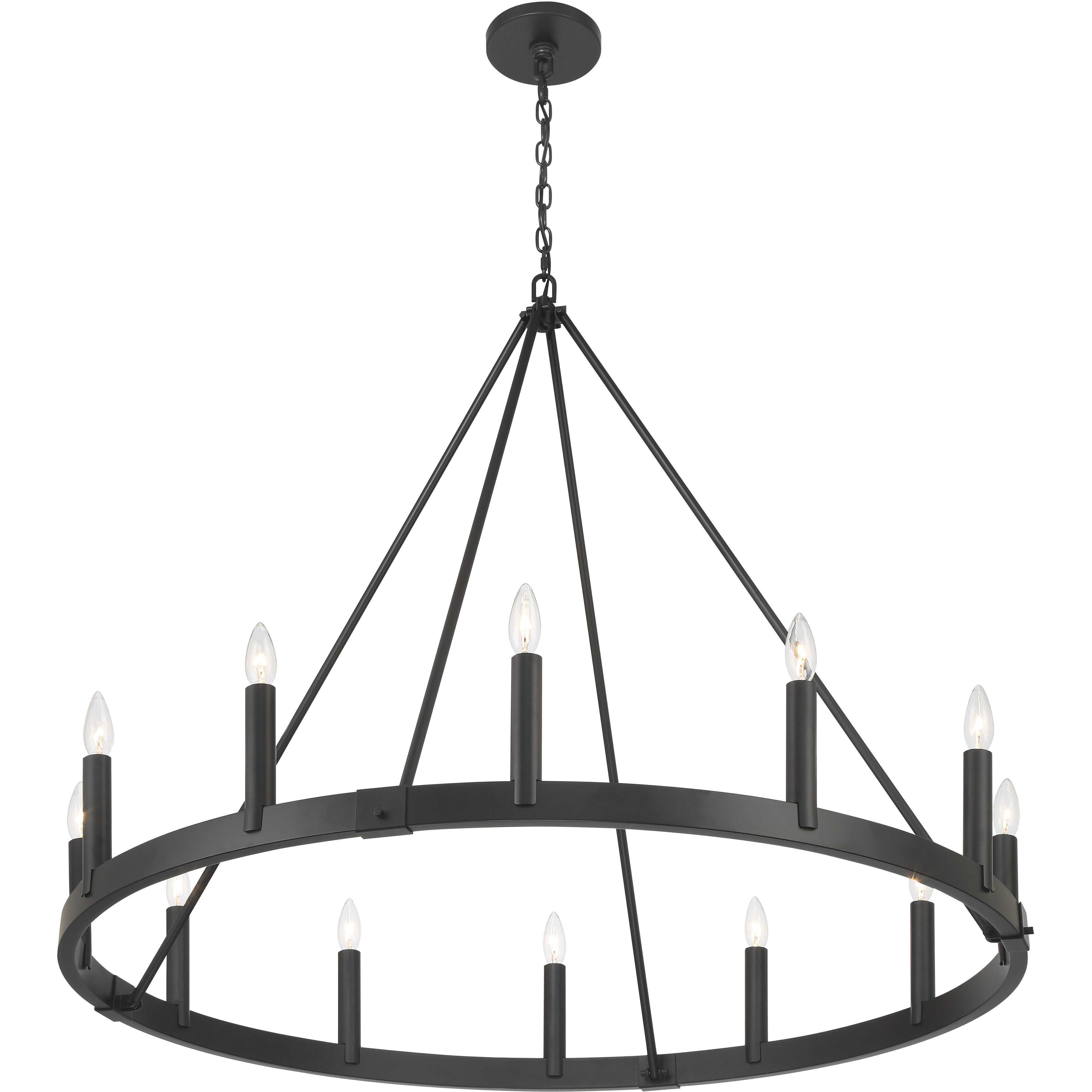 Dutton 12 Light 42.5 inch Coal Black Chandelier Ceiling Light