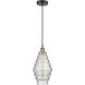 Cascade 1 Light 8 inch Black Antique Brass Mini Pendant Ceiling Light in Clear Glass