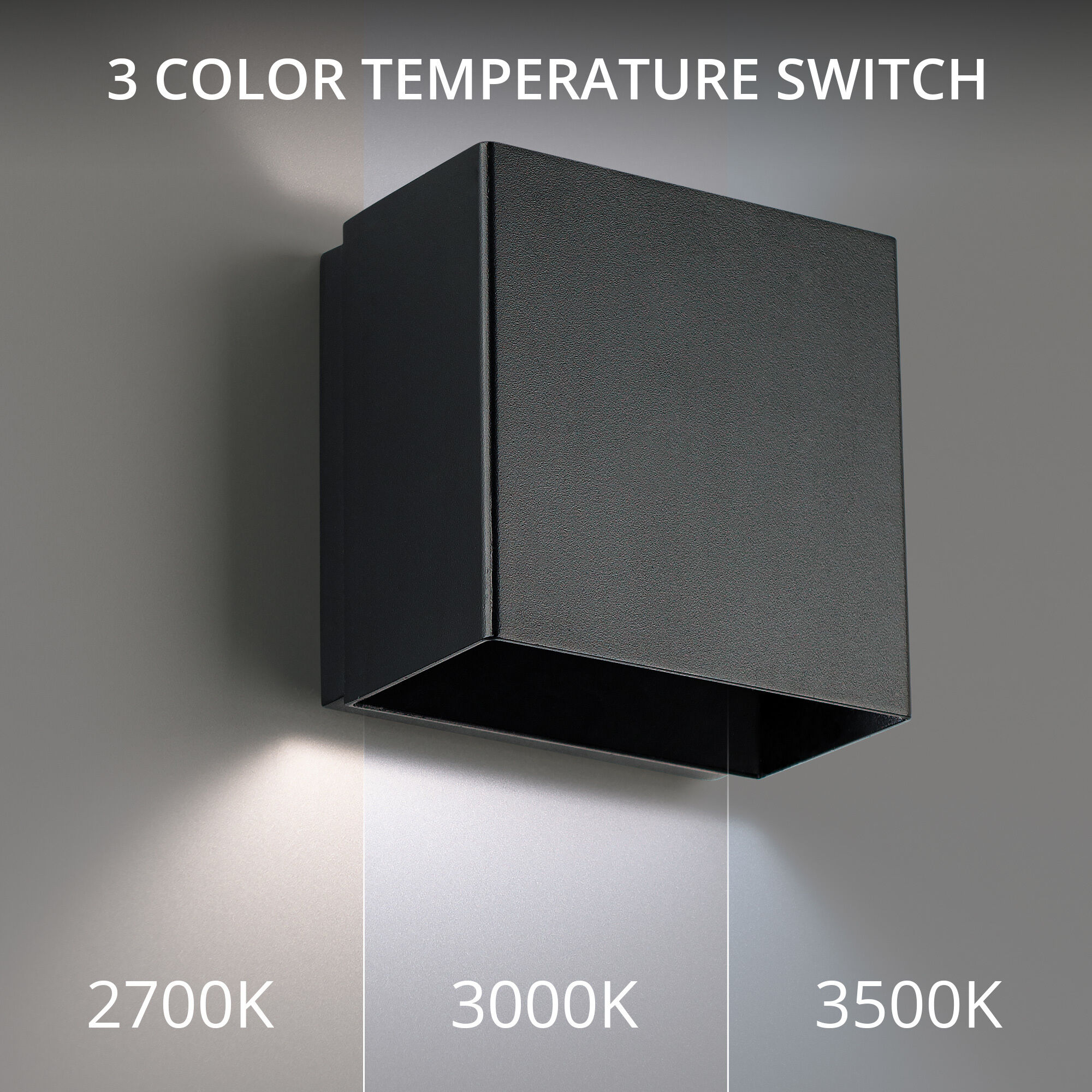 Boxi Wall Sconce Wall Light in 3500K, Black, dweLED