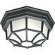 Cirque 1 Light 10.5 inch Black Outdoor Flush Mount