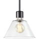 Zigrina 1 Light 11.75 inch Satin Brushed Black with Polished Nickel Pendant Ceiling Light