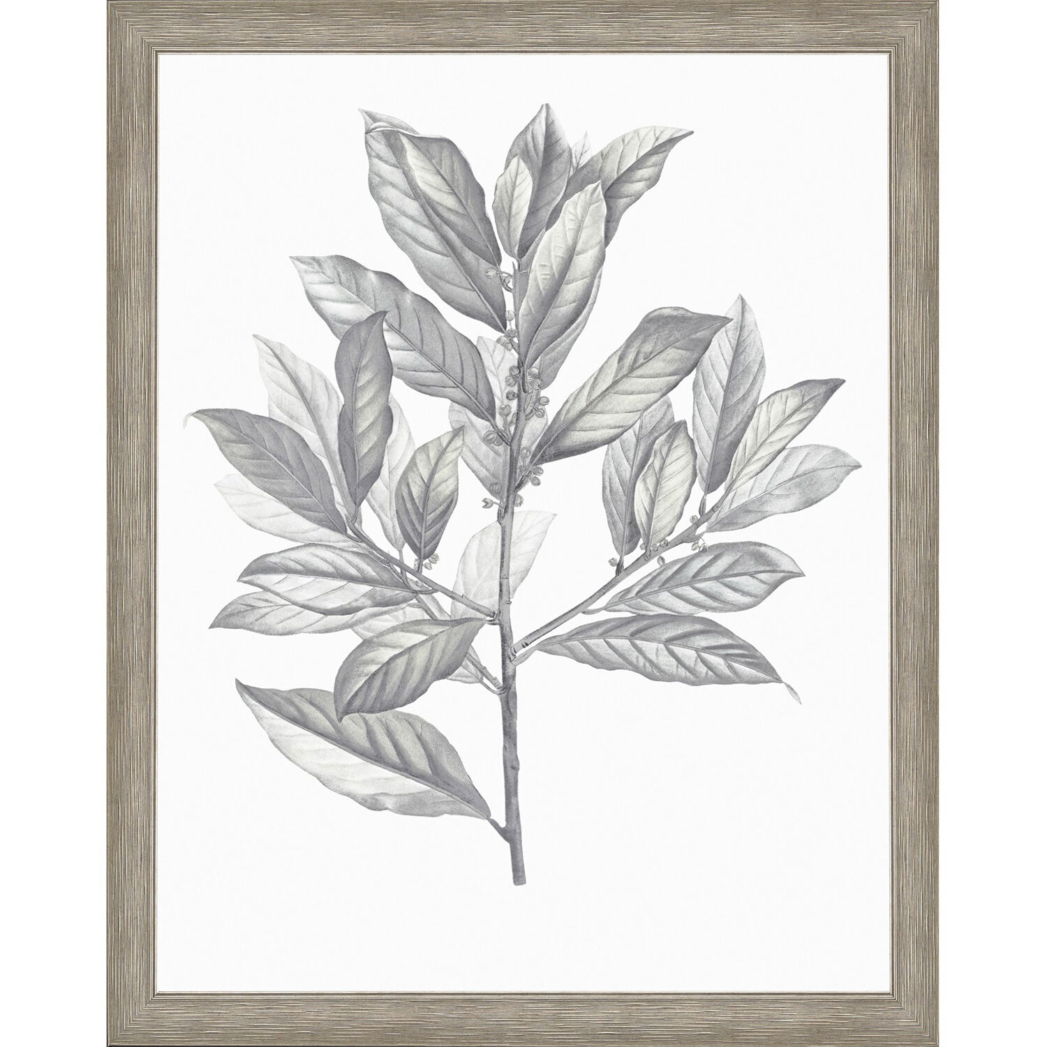Silvered Leaves Gray and Brown and Green and Neutral Framed Art