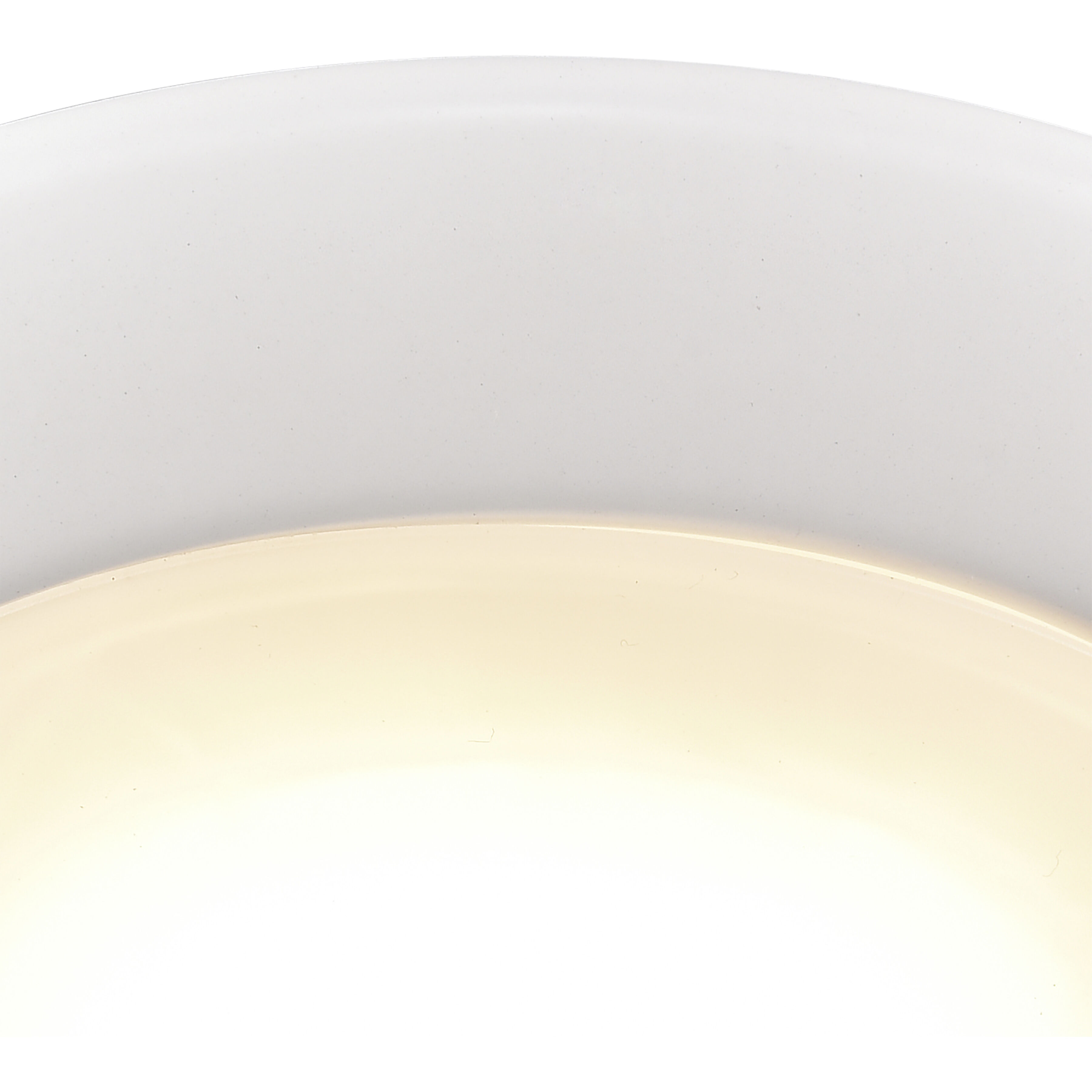 Plandome Integrated LED White Down Light