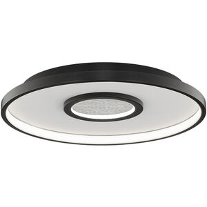 Pinpoint LED 16.38 inch Black Flush Mount Ceiling Light in 2700K, dweLED