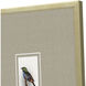 Animals Collection Multi Framed Art
