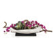Orchid Decorative Orchid