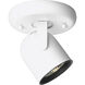 Directionals White 50 watt 1 Light Directional