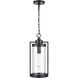 Braselton 1 Light 8 inch Powder Coated Black Outdoor Hanging Lantern