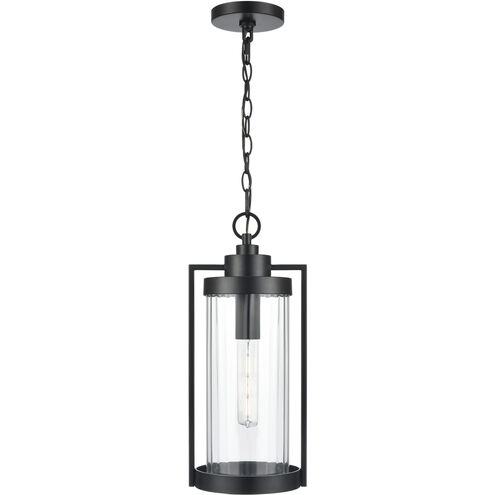 Braselton 1 Light 8 inch Powder Coated Black Outdoor Hanging Lantern