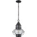 Onion 1 Light 10 inch Oil Rubbed Bronze Outdoor Pendant