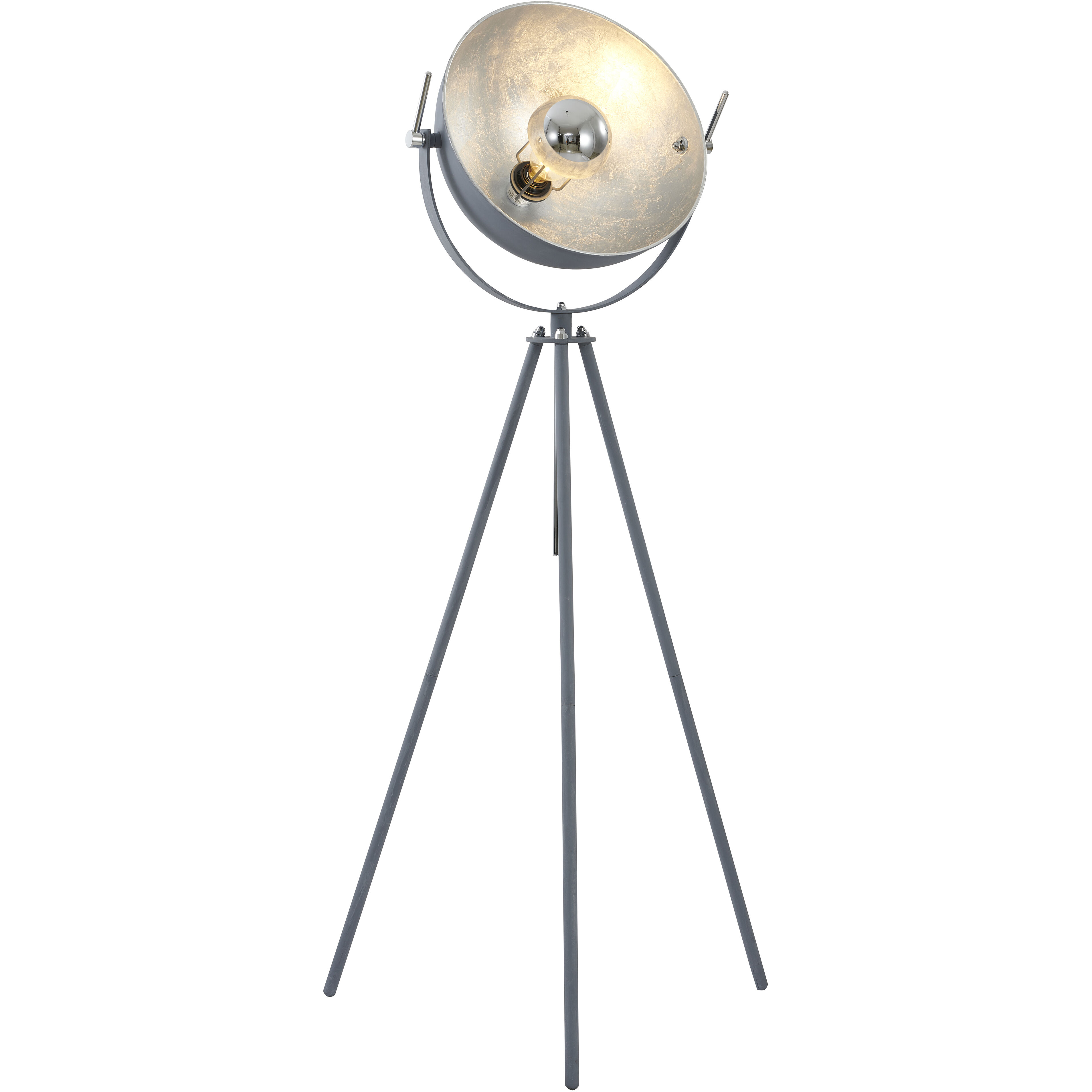 Canada 70 inch 100.00 watt Grey Floor Lamp Portable Light