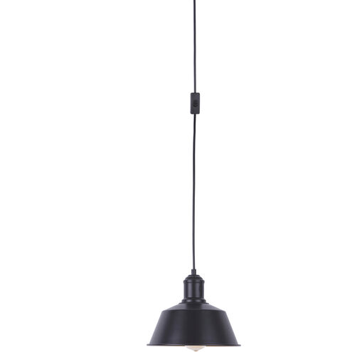 Metal Shade 1 Light 12 inch Flat Black Swag Pendant Ceiling Light