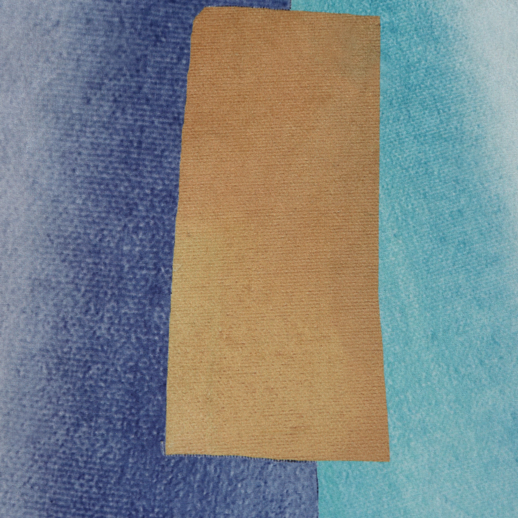 Louisa 20 inch Multi Indoor Pillow