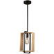Perris LED 8 inch Black Pendant Ceiling Light