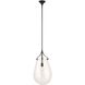 Dewdrop 1 Light 13.5 inch Matte Black Pendant Ceiling Light