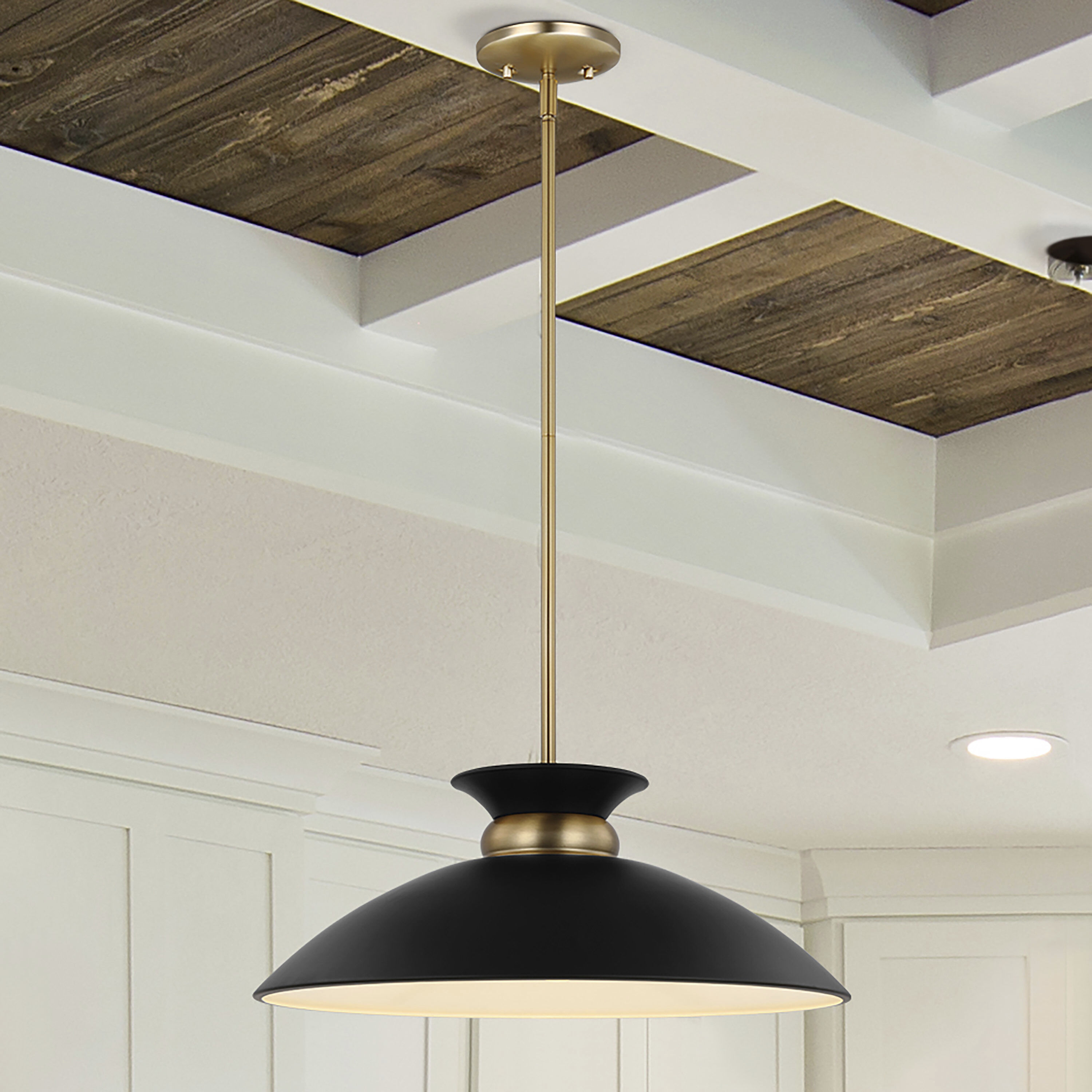 Perkins 1 Light 20 inch Matte Black/Burnished Brass Pendant Ceiling Light