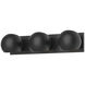 Alora Mood Willow Bath Vanity Light Wall Light in Matte Black