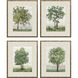 Landscapes Collection Green Framed Art