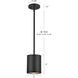 Nordic LED 5 inch Black Exterior Pendant
