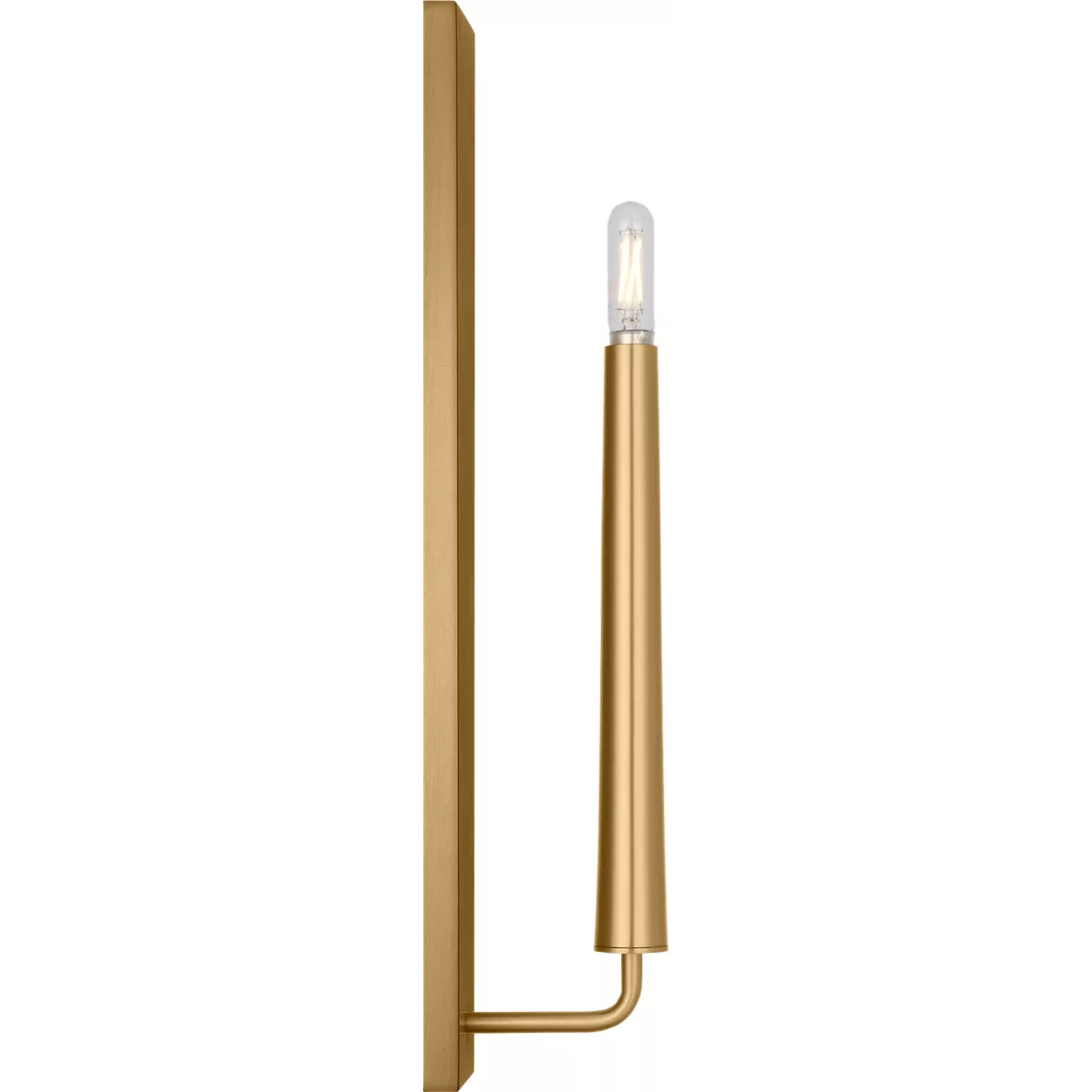 Ellen DeGeneres Lois Sconce Wall Light