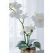 Stripe White Faux Orchid