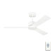 Rozzen 44 inch Matte White Indoor/Outdoor Ceiling Fan