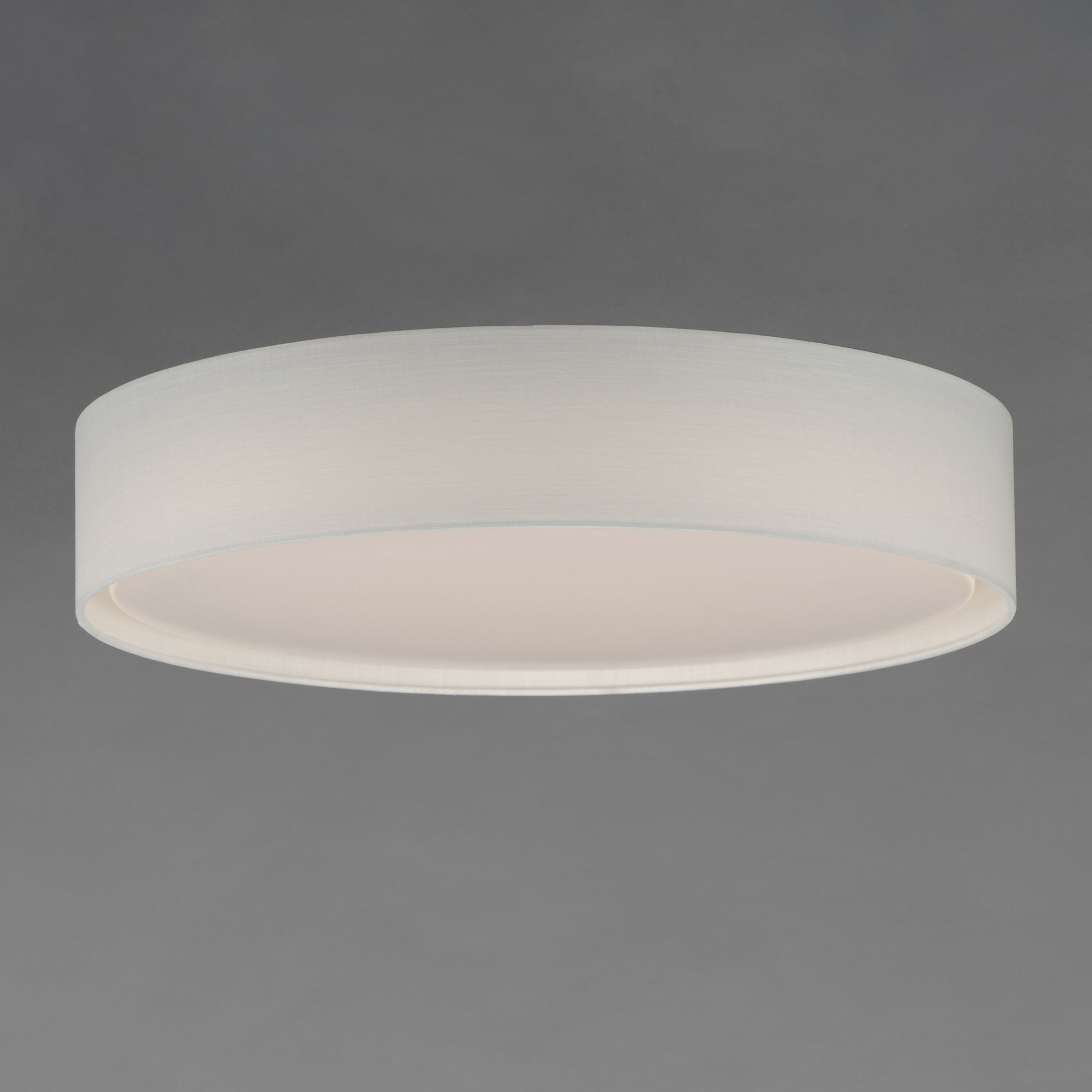 Prime LED 25 inch Flush Mount Ceiling Light