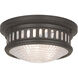Berwick 2 Light 11.00 inch Flush Mount