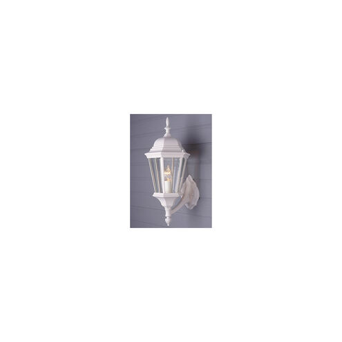 Signature 1 Light 23 inch Black Gold Outdoor Wall Lantern in Clear Glass Beveled Edges