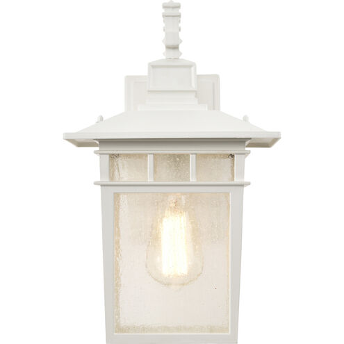 Cove Neck 1 Light 14 inch White and Clear Seeded Outdoor Wall Light