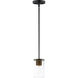 Sleek 1 Light 4 inch Antique Brass/Black Mini Pendant Ceiling Light