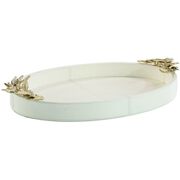 Trays