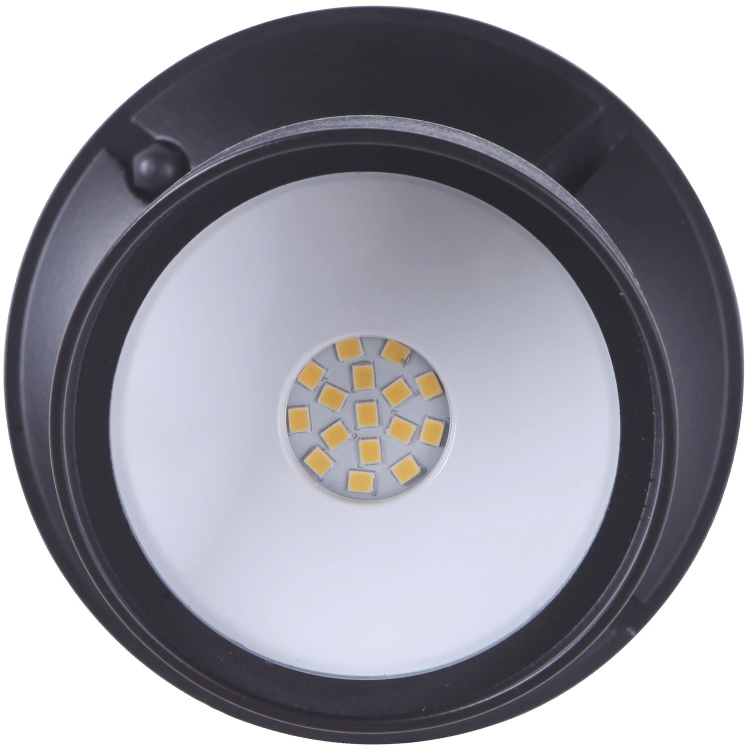 Bejamin LED Bronze Outdoor Flood