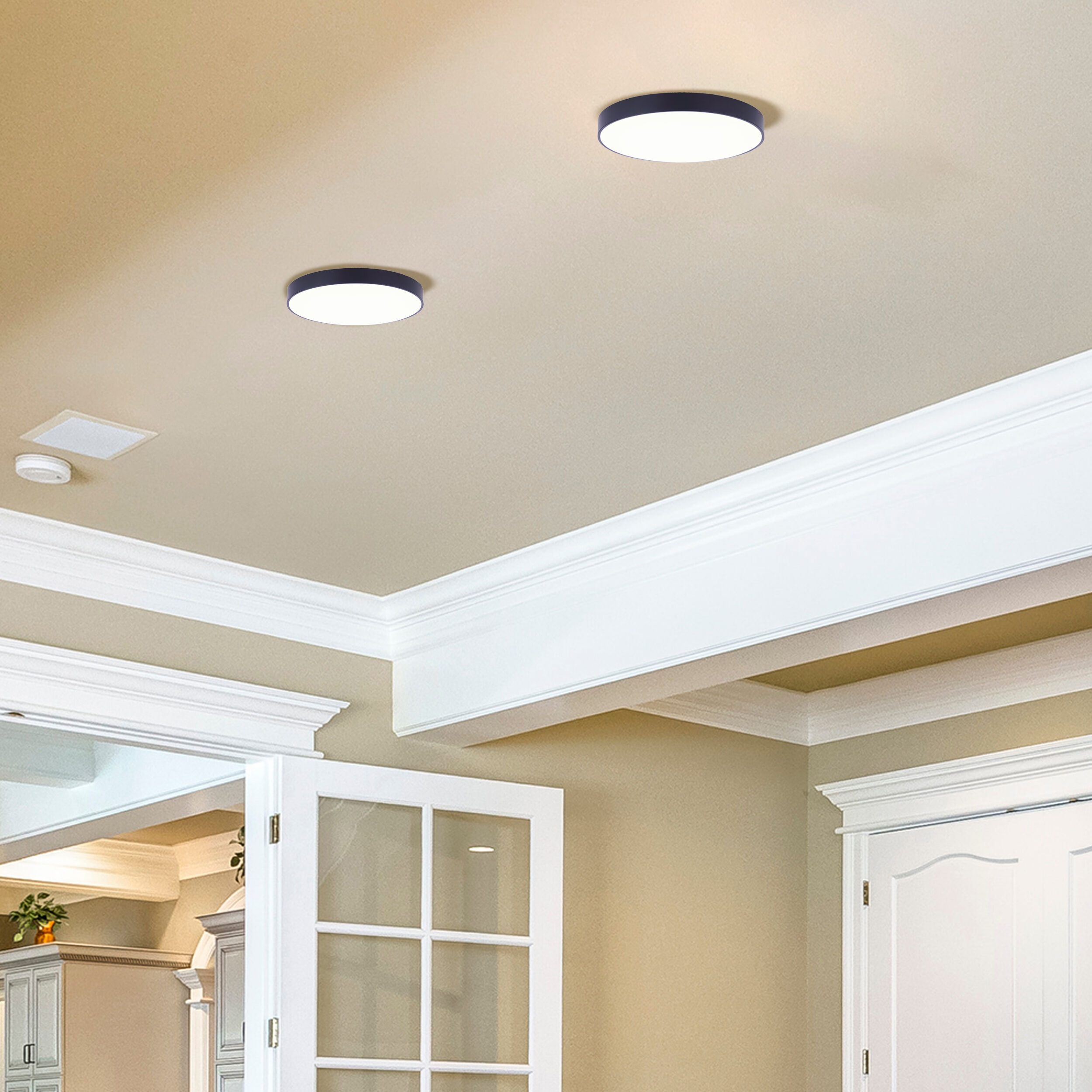 Luna LED 8 inch Black Disc Light