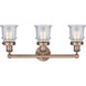 Canton 3 Light 23.25 inch Antique Copper Bath Vanity Light Wall Light in Seedy