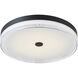 Iris LED 20 inch Matte Black Flush Mount Ceiling Light