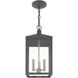 Nyack 3 Light 8 inch Scandinavian Gray Outdoor Pendant Lantern