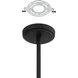 Dahlia LED 28 inch Plaster Black Chandelier Ceiling Light