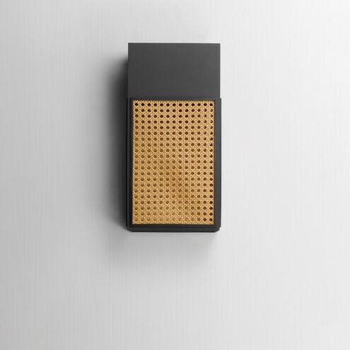 Lattice LED 16 inch Black Outdoor Wall Mount