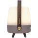 Lite Up Play Mini 11.75 X 7.5 inch Earth Light Brown Taupe Portable Speaker Lamp in Earth Light Brown/Taupe, Kooduu