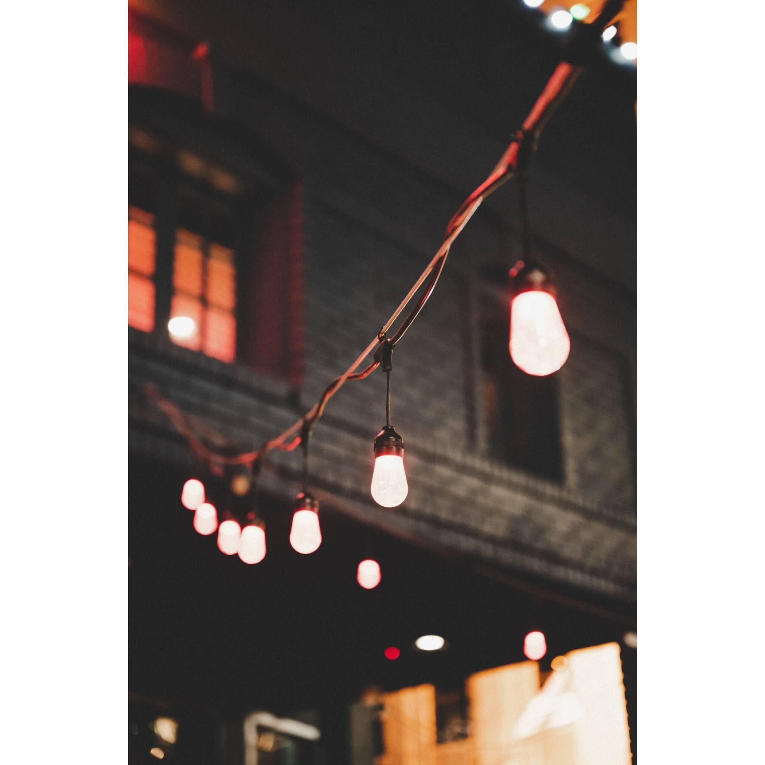 Orion 120V 12.00 watt Black Landscape, Smart String Light