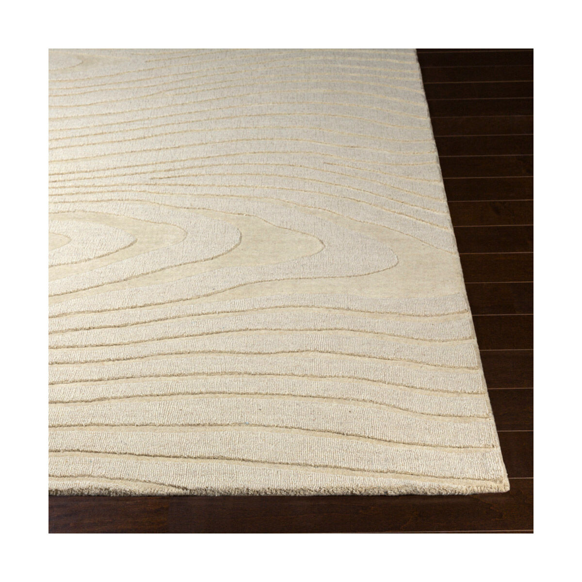 Mystique 63 X 39 inch Cream Rugs, Rectangle