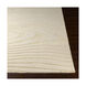 Mystique 63 X 39 inch Cream Rugs, Rectangle