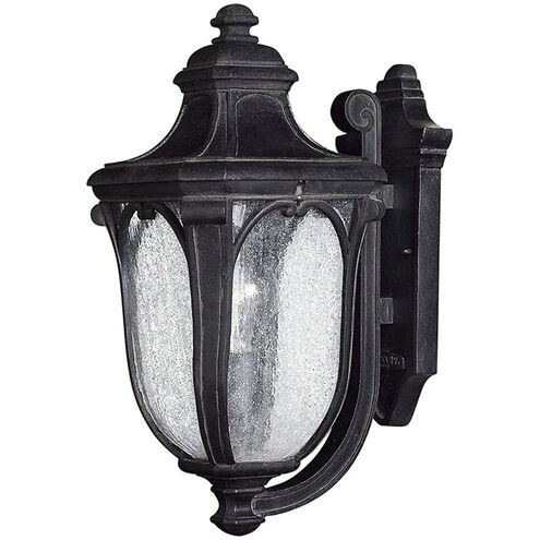 Trafalgar LED 18 inch Museum Black Outdoor Wall Mount Lantern, Medium