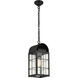 Durham 1 Light 7.5 inch Matte Black Outdoor Pendant in Clear Glass, Brass Traditions by Innovations Lighting