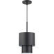 Zolana 1 Light 8.5 inch Black Mini Pendant Ceiling Light