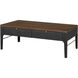 Anello 48 X 24 inch Top: Brown; Base: Black/Metallic - Brass Coffee Table