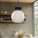 Arcadia 1 Light 7.88 inch Black Pendant Ceiling Light in Matte Opal Glass