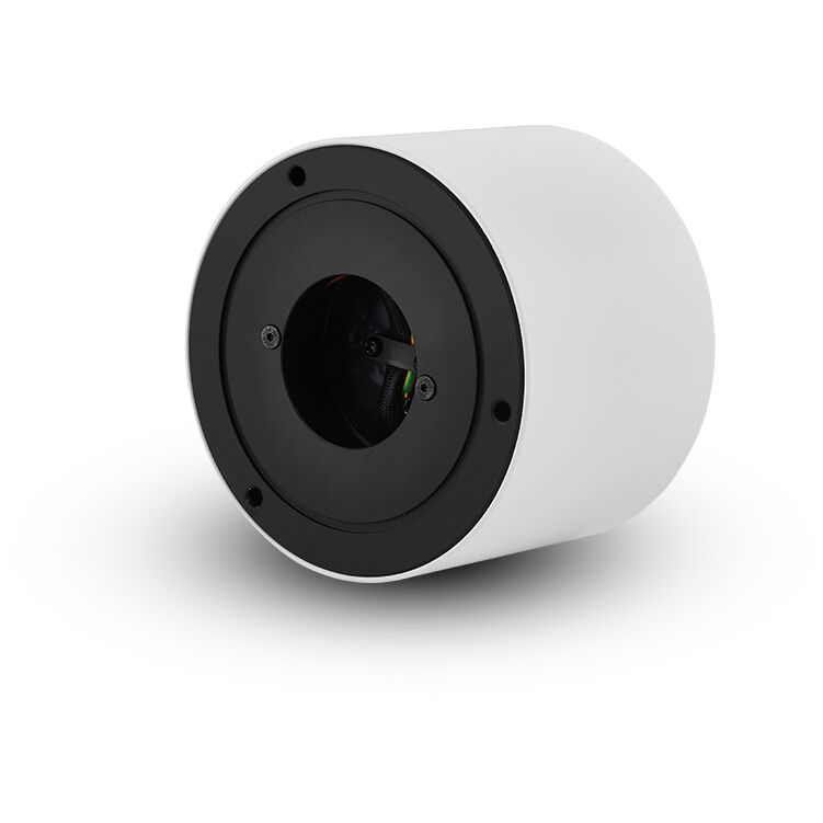 NODE Series White Surface Mounted Downlight Ceiling Light